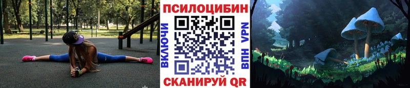 где купить наркоту  Исилькуль  blacksprut рабочий сайт  Псилоцибиновые грибы Cubensis 